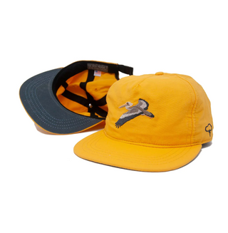 Creative Glider Gold Strapback