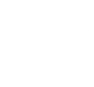 Common Deer