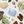 Load image into Gallery viewer, Ursa Major Forest Alchemy Eye Cream
