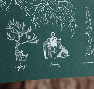 A Typology of Trees Print - 11x14