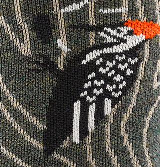 Darn Tough Men's Woody Crew Sock - Forest 6111