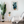 Load image into Gallery viewer, Potted Cactus Paint-By-Numbers Kit

