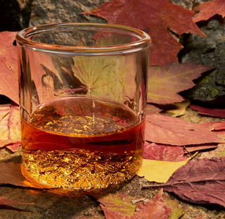 Adirondack Glass Tumbler