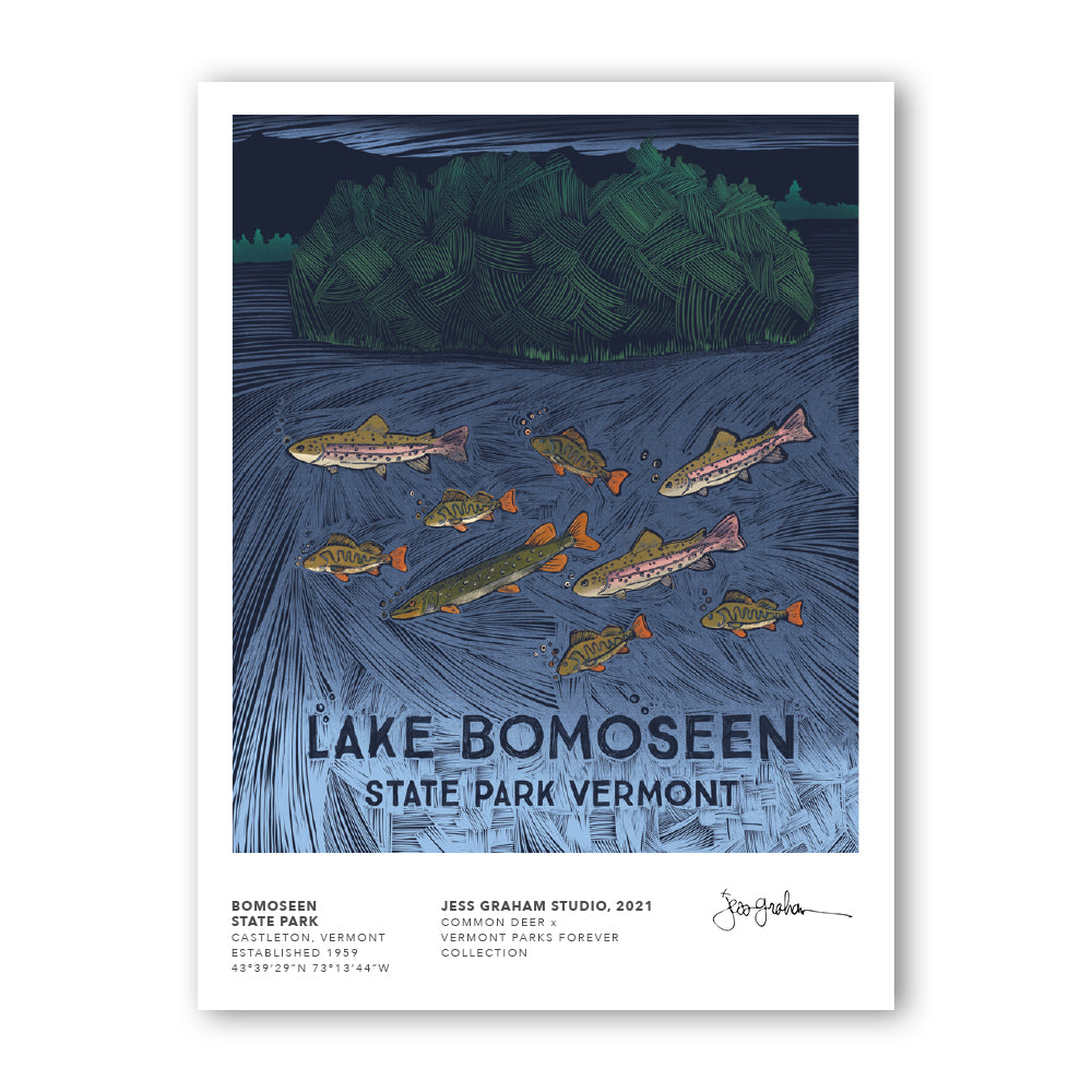 Vermont Parks Collection Print Lake Bomoseen State Park 12x16 Common