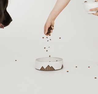 Mountain Bowl - White on Brown Clay