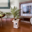 Load image into Gallery viewer, Ceramic House Flower Bud Vase - Assorted Single
