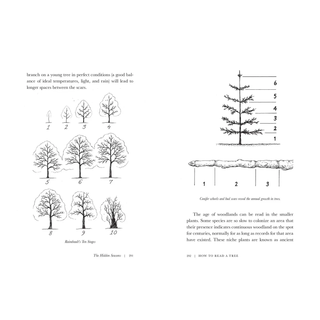 How to Read a Tree by Tristan Gooley