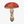 Load image into Gallery viewer, Mineral Mushroom: Ruby Print 5x7
