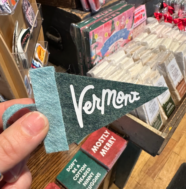 Vermont Mini Pennant - Swan &amp; Turquoise