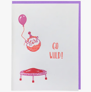 Hedgehog on Trampoline Birthday Card - SI5
