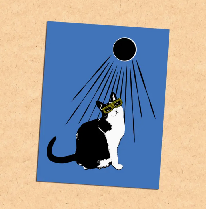 Eclipse Cat Solar Eclipse