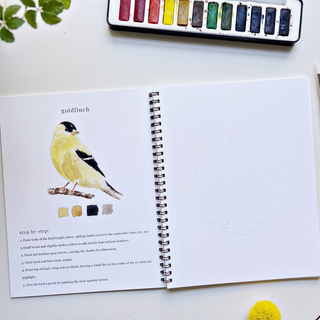 Birds Watercolors Workbook