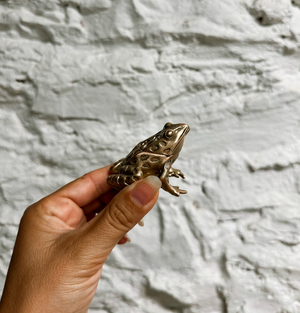 Leopard Frog Trinket Box - Brass