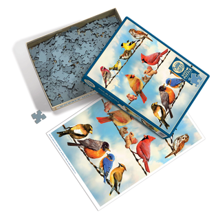 Birds On A Wire Puzzle-500 Piece