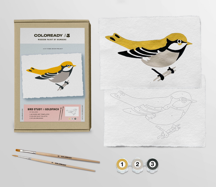 Goldfinch Study Paint-By-Numbers Kit