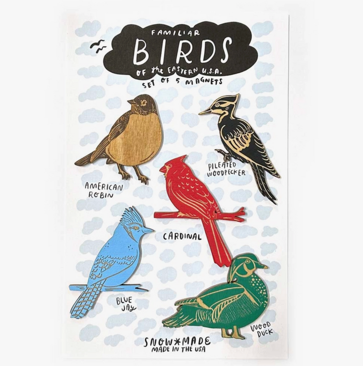 Eastern Birds Magnets - Set of 5