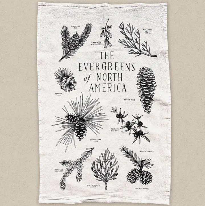 Evergreens Field Guide Tea Towel