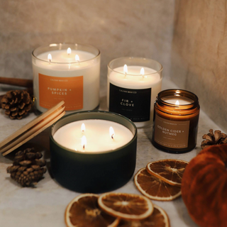 Resilience Series 3 Wick Candle - Fir + Clove
