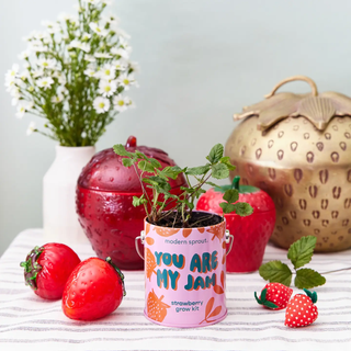 Complimentary Color Grow Kits You Are My Jam