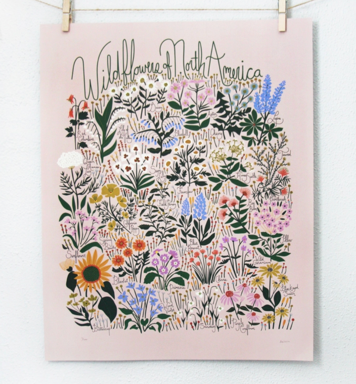 WIldflowers of North America Blush Poster - 16x20