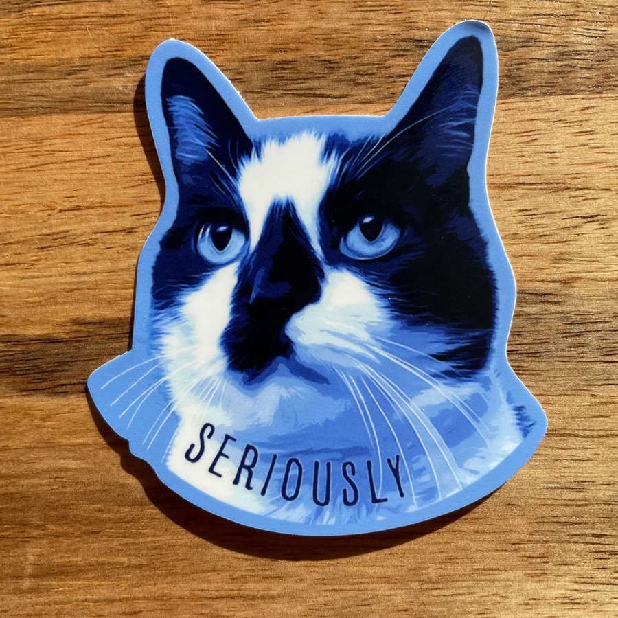 Serious Cat Stickers