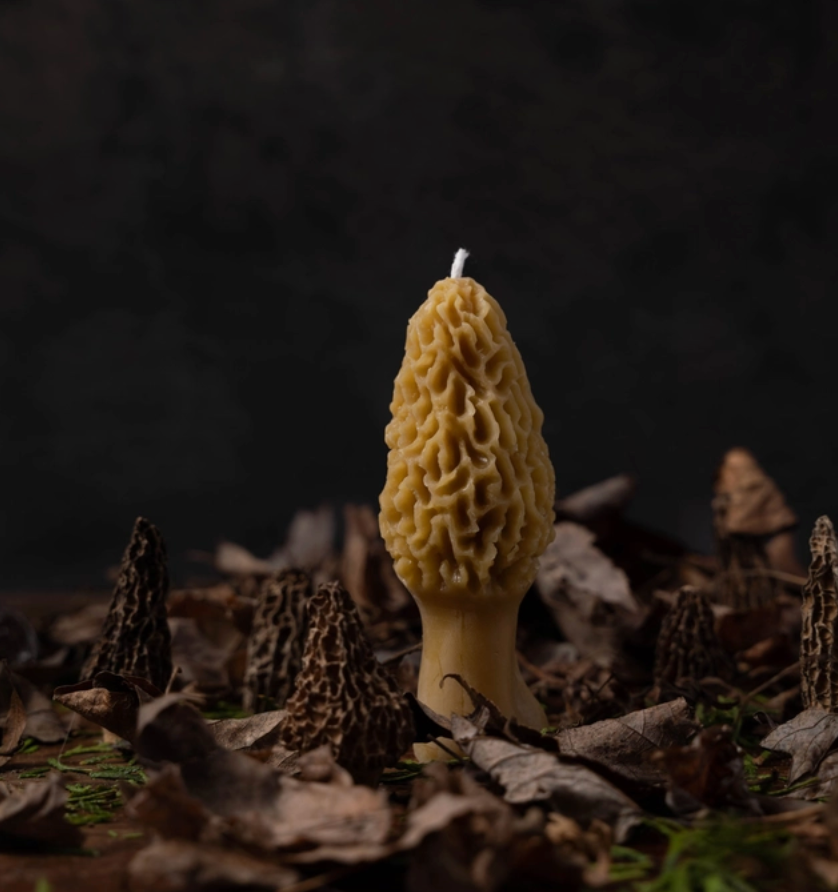 Morel Pure Beeswax Candle