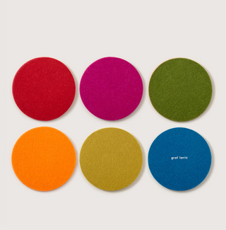 Bierfizl Round Felt Coaster 6 Pack - Rainbow