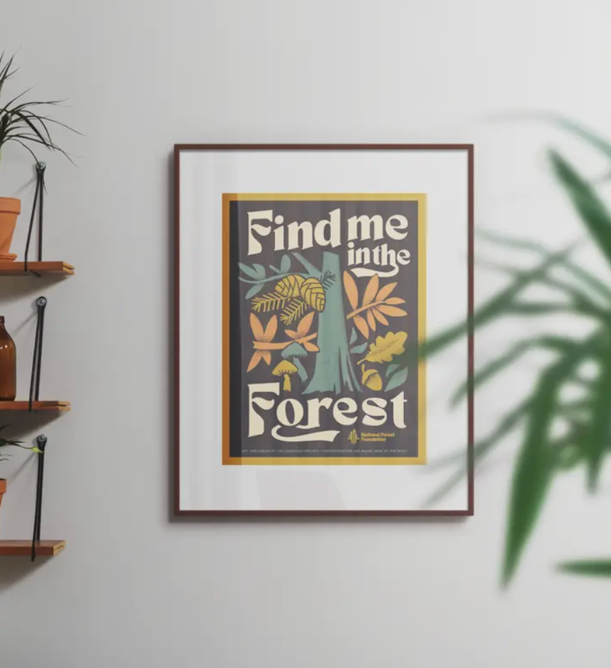 Find Me in the Forest Print - 12x16