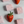 Load image into Gallery viewer, Vermont-Made Marshmallows - Strawberry Rose
