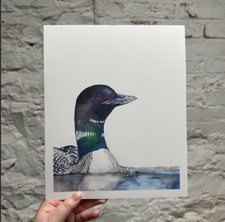 Common Loon Print - 8x10
