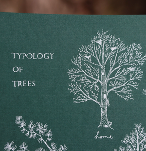 A Typology of Trees Print - 11x14