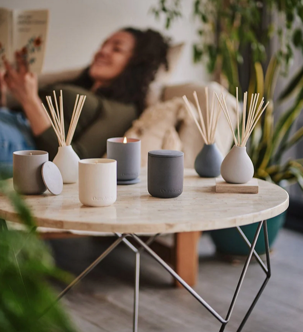 Nordic Cedar Ceramic Candle