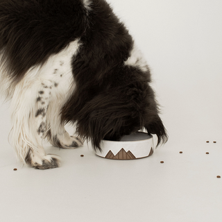 Mountain Bowl - White on Brown Clay