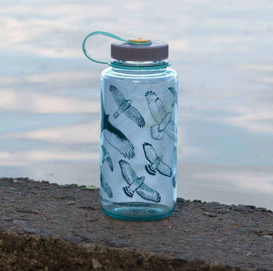 Hawks in Flight Nalgene - Seafoam