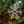 Load image into Gallery viewer, Icy Glass Snowflake Ornament
