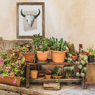 American Southwest Paint-By-Numbers Kit