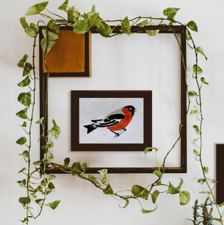 Robin: Bird Study Paint-By-Numbers