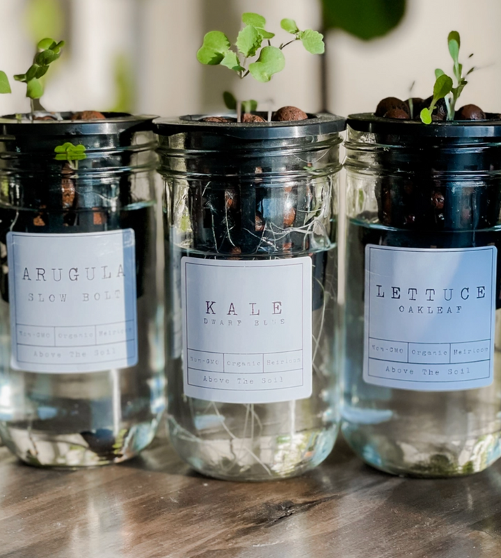 Glass Jar Semi-Hydroponic Garden Kit