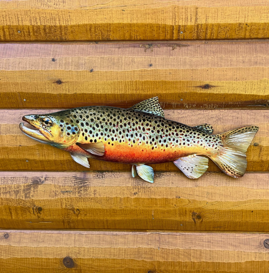 Brown Trout Wall Hanging - 24inch