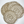 Load image into Gallery viewer, Linocut Tree Ring Coasters
