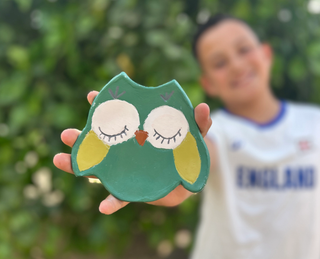 Air Dry Clay Kit Owl Dish