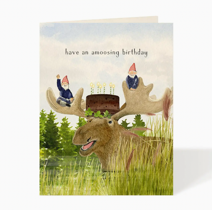 amoosing birthday card - FD5