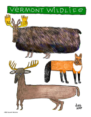 Vermont Wildlife Mini Print