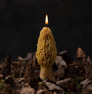 Morel Pure Beeswax Candle