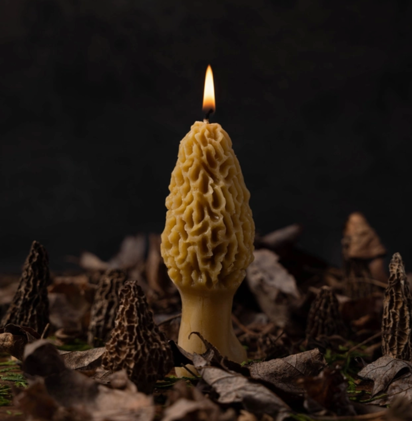 Morel Pure Beeswax Candle