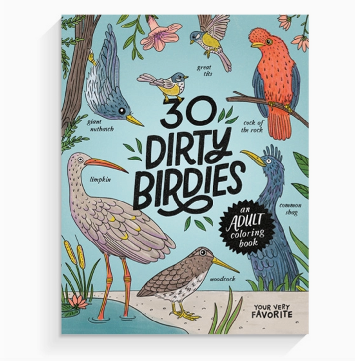 30 Dirty Birdies Adults Only Coloring Book