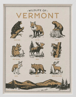 Vermont Wildlife Print - 11 x 14