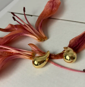 Virgule Earrings - 14k Gold Fill