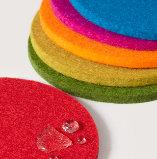 Bierfizl Round Felt Coaster 6 Pack - Rainbow