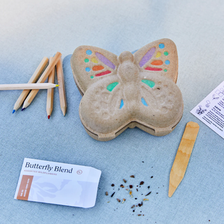Curious Critters Garden Kit - Butterfly